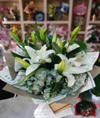 lilyum demeti